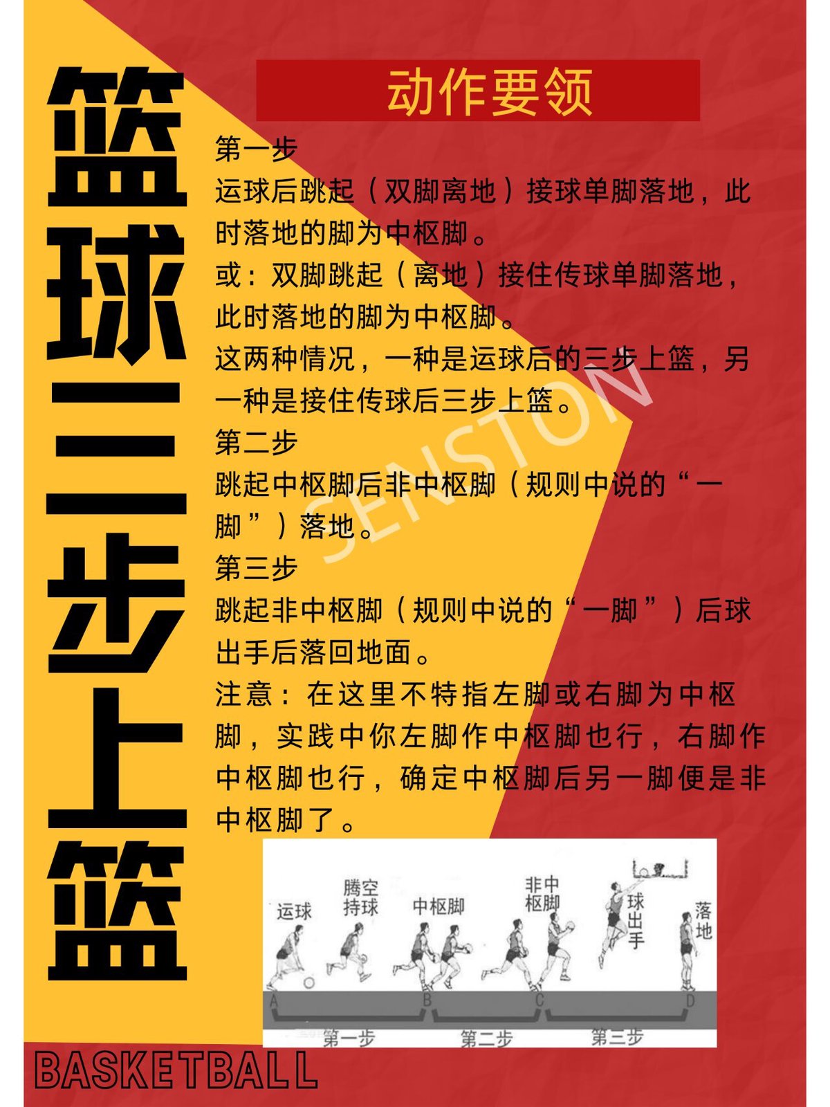 篮球训练方法50集视频讲解教学
